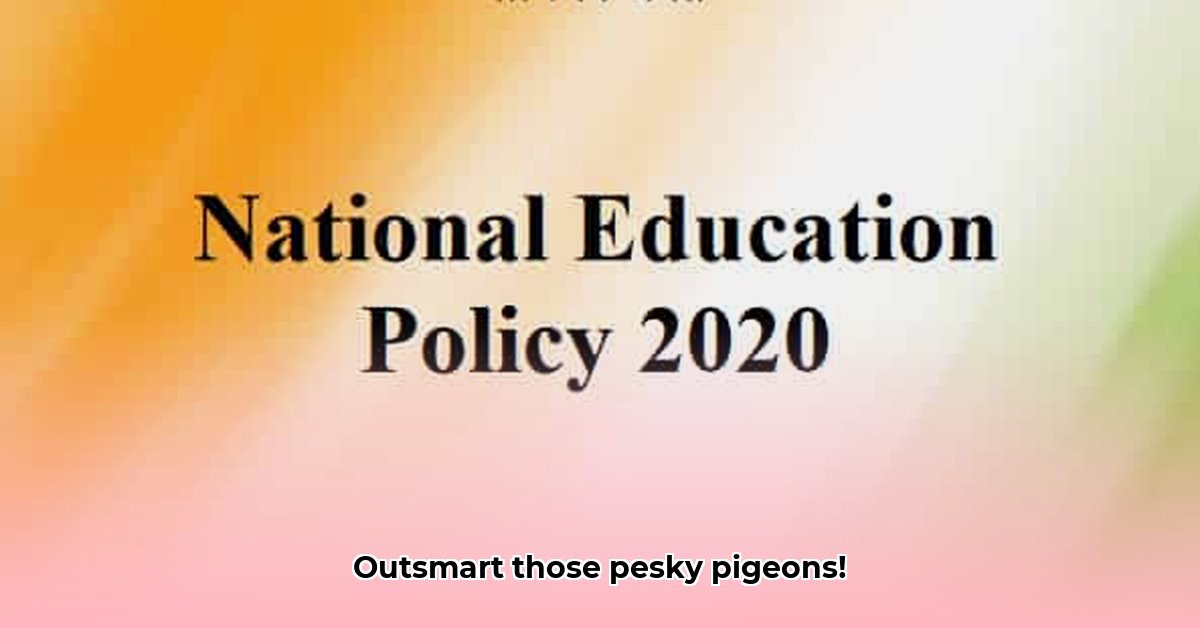 nep-kraai-tegen-duiven